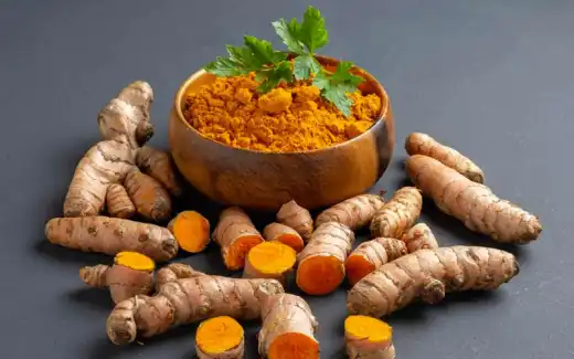 Rizom dan serbuk kunyit Curcuma Longa